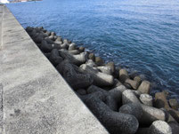 高浜港 はこちらからどうぞ