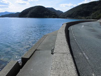 青海島　道路沿い　はこちらからどうぞ