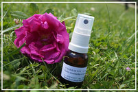 Olfactothérapie-La Boutique Olfactive-Synergie huiles essentielles
