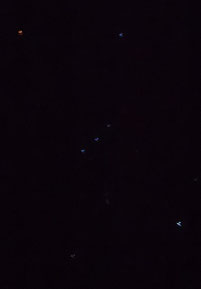 Orion (photo ugo)