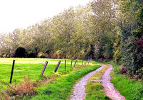 Chemin à côté du Centre DaoZen