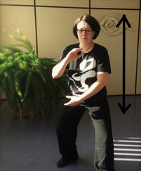 Bernhard Schwendemann Tai Chi Chuan Kehl