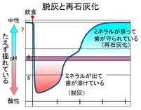 クリックすると大きくなります