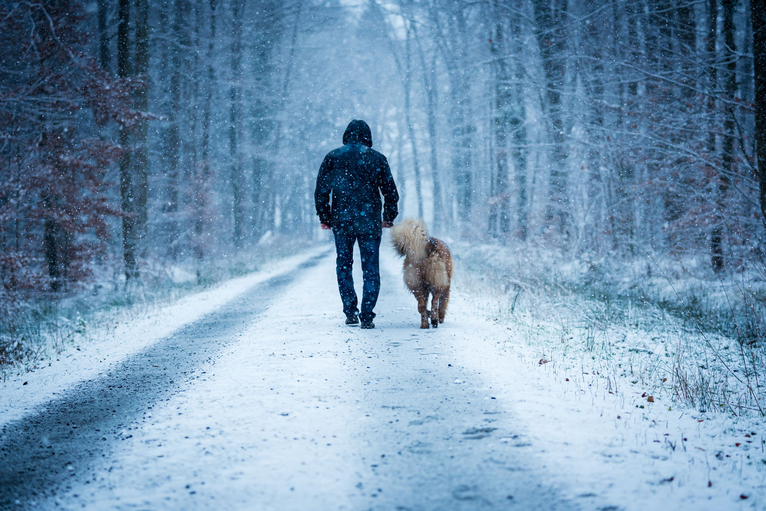 Ein Mann und sein bester Freund m4hess