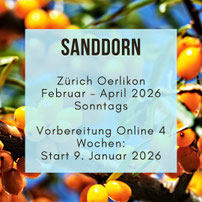 Meditation in Motion. Einfache geführte Meditation für Anfänger, Meditationstipps, Entspannung, Achtsamkeit, Meditation Online-Kurs, Meditationskurs in Zürich Oerlikon. Meditationsausbildung und Meditationslehrer Ausbildung in Zürich Oerlikon und Flims.
