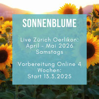 Meditation in Motion. Einfache geführte Meditation für Anfänger, Meditationstipps, Entspannung, Achtsamkeit, Meditation Online-Kurs, Meditationskurs in Zürich Oerlikon. Meditationsausbildung und Meditationslehrer Ausbildung in Zürich Oerlikon und Flims.