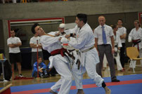 SM Ippon Shobu