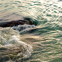In einer Kugel spiegelt sich eine Gartenanlage mit einem Wasserbecken, Rasen und Sträuchern