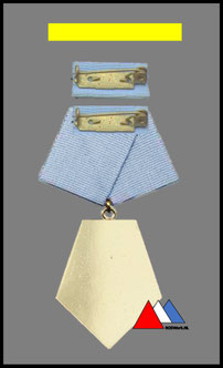 Ruckseite "Verdienter Flieger 1976-1989 "Bunt Metall Goldfarben lackiert messing oder gedunkelt.