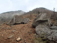 八ヶ岳　権現古道　登山　ガイド