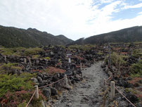 北横岳　登山　ガイド