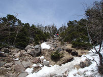 蓼科山　登山　ツアー