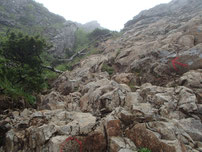 権現岳　登山　ツアー