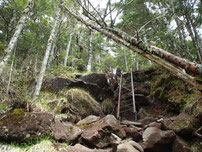 八ヶ岳　自炊体験　登山　