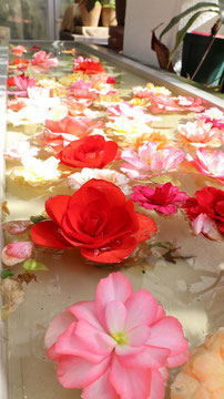 水に浮く薔薇の写真フリー素材　Photo free material of flower rose floating on the waterside