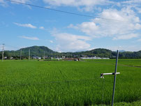 甘鉄車内から眺める城山（花立山）