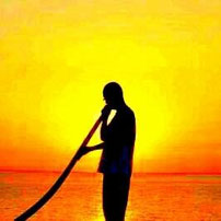 ギャラリーオーナー 中島 修一 Shuichi Nakajima - TAMAEDO GALLERY