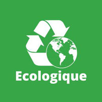 epaviste écologique lyon