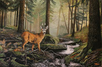 Rehbock am Bach 40 x 60