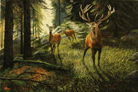 Begegnung am Pass  40 x 60    