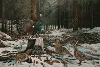Am Balzplatz 40 x 60    