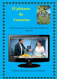 El plátano de Canarias