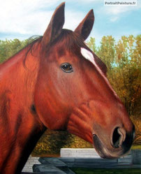 portrait-cheval