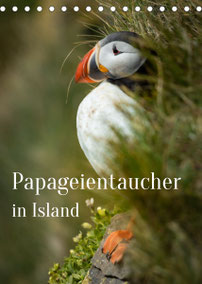 Island Kalender 2022