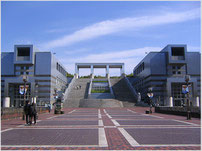 多摩中央公園 池