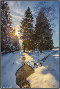 Eifel#Winter#Nordeifel#Roetgen#Dreilägerbach#Roland Valter#rolva#Natur-Fotografie#Aachen 