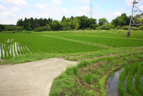 写真6