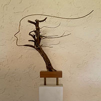 WALTER FRIESENEGGER