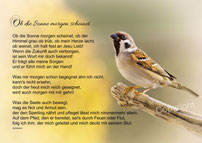 Sperling, Christliche Karten, Mirjam Dentler