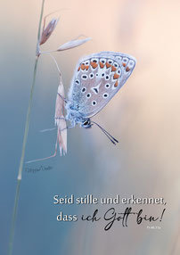 christliche Karten, Bläuling Schmetterling Psalm 4611 Seid stille 