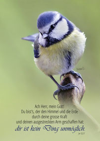 Christliche Karten Bibelvers Blaumeise auf Ast
