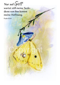 christliche Karten die goldene Acht, Schmetterling Psalm 62,6