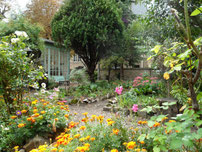 Le jardin du couvent des Sœurs de l'Adoration (5ème)