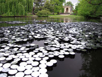 Eau du jardin public de bordeaux pour cette installation d'art contemporain de Laurent Valera