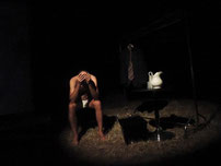 L'art de l'artiste bordelais Laurent Valera