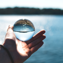 In einer Kugel spiegelt sich eine Gartenanlage mit einem Wasserbecken, Rasen und Sträuchern