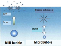 Behaviour of microbubble