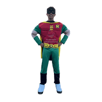 mascotte cosplay robin roma 