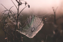 pixabay.de