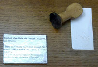 Ex libris exposé au musée Despiau-Wlérick à Mont-de-Marsan