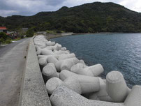 野波瀬 地蔵崎 はこちらからどうぞ