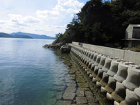 田ノ浦漁港　横の岸壁　はこちらからどうぞ