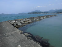 菊ヶ浜海水浴場　はこちらからどうぞ