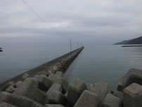富海海岸 はこちらからどうぞ