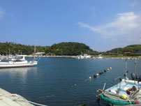 湧田漁港 全体の写真