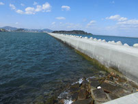 苅田町・行橋市のコウイカの釣り場・ポイント